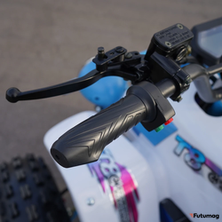 Электроквадроцикл ECO Monster TRUCK 60V50AH