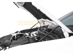 Амортизаторы капота, 2 шт. Rival для Mitsubishi Outlander II / II рест. 2005-2009 /2009-2013