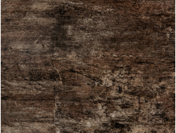 № 297 П ДУБ ПРОВАНС