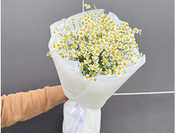 Букет ромашек