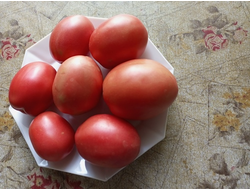 Томат Воловье сердце минусинское