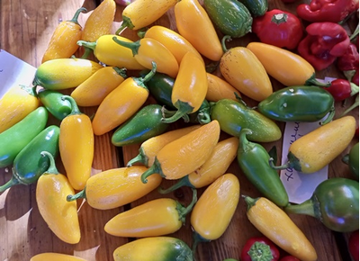 Перец острый Халапеньо желтый (Jalapeno Yellow)