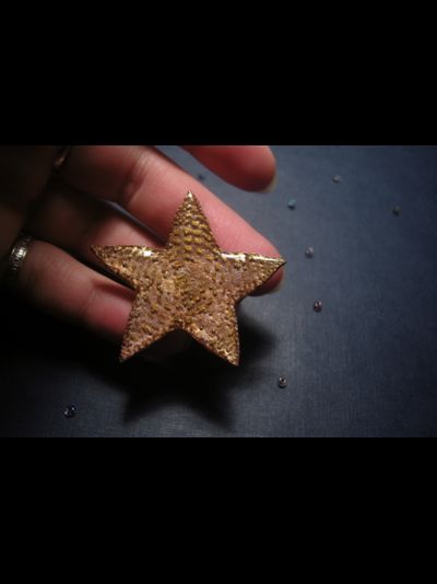 Праздничная брошь &quot;Светит звёздочка с небес&quot; (рождественская серия)