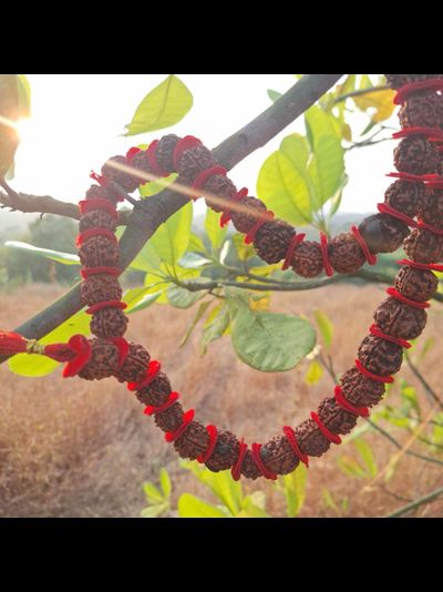 Четки Premium quality из натуральной крупной Рудракши 54 бусины красные