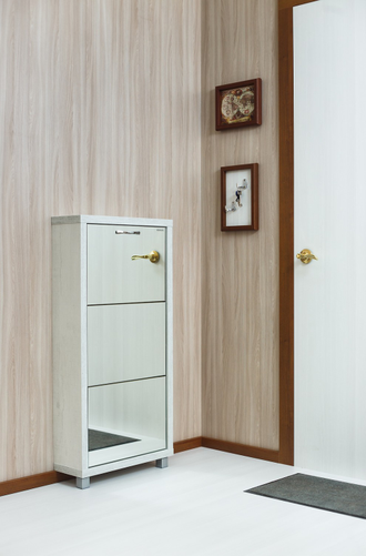 Обувница Айрон-3 (фасад Зеркало)