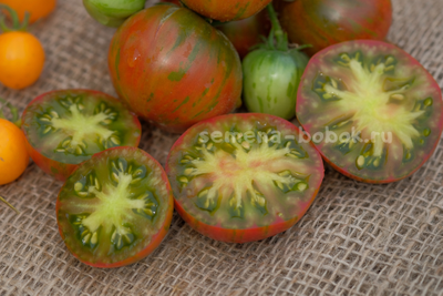 Томат Delta Diver red (Гном Дельта Дивер Ред), 10 шт