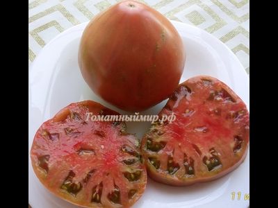 Томат Тундра (Tundra), Канада