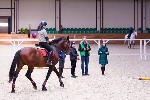 юность москвы конный. кск кузьминки. юность москвы конный. кск измайлово конюшня. юность москвы конный.