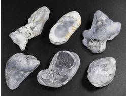 Кахолонг (Опал), желвак цельный в ассортименте, Оренбургская обл. (25-30 мм, 6-7 г) №29427