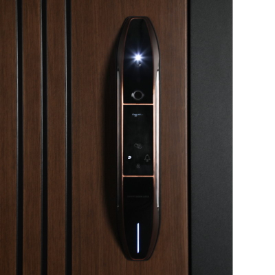 Стальная дверь   Фиджи. Заказная модель.