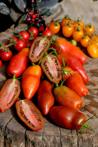 Томат Черный перец (Black Pepper), 10 шт