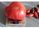 Розовый гигант Явена (Gigante Rosa di Giaveno, Италия).
