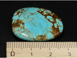 Бирюза, полировка плоская, США, Невада (29*28*5 мм, 7,1 г) №37846