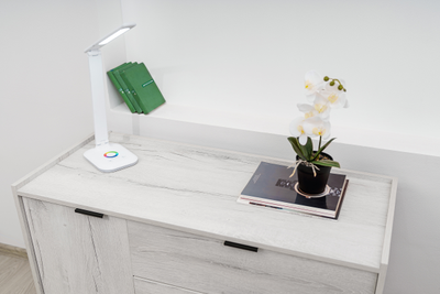 Гостиная ФЛЕКС - ФЛЕКС 5 Тумба МЦН Дуб Шавиниган