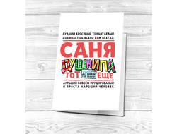 Обложка на паспорт #6 Александр