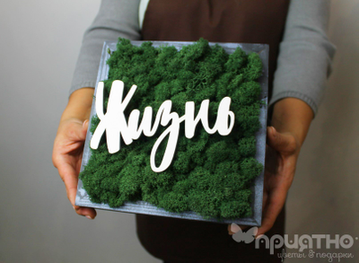 ЖИВАЯ ЭКО-КАРТИНА 1058