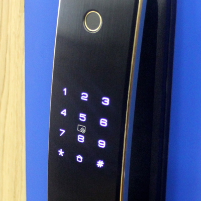 Стальная дверь   Lamborghini. Заказная модель.