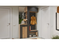 Композиция Прихожей АСТИ