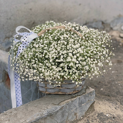 Нежное облачко