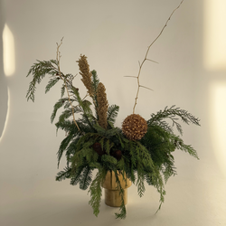 Брызги шампанского