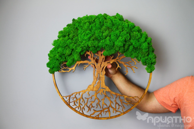 Живая Эко-Картина 1074