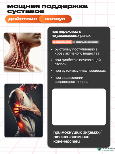 Сустальмакс дневной, капсулы в среде-активаторе