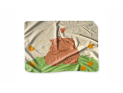 Плед Капибара, Kapibara-san №2