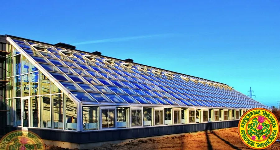 Круглогодичный тепличный комплекс размером 36х10 метров с оснащением изготовлен и смонтирован специалистами компании Красивые Теплицы 