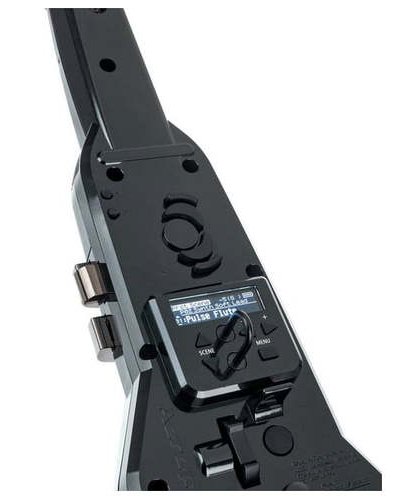 Roland Aerophone Pro AE-30