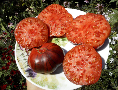 Томат Голубая прелесть (Blue Beauty), США