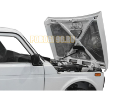 Амортизаторы капота, 2 шт. АвтоУпор для Lada 4x4, V=1.7i,I рестайлинг (3 дв., 5 дв.) 2006-