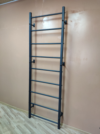 Шведская стенка 2 в 1 с рукоходом "Профессионал"