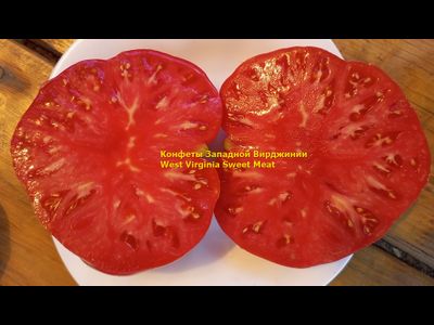Томат Конфеты Западной Вирджинии (West Virginia Sweetmeat), США