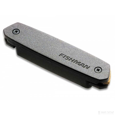 Fishman PRO-NEO-D01 Neo-D