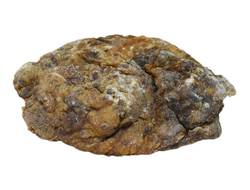 СОСНА ЖЕЛТАЯ смола