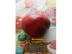 Томат Ла Кадеро (La Cadero)