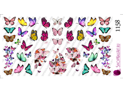 Слайдер-дизайн 1158 - Летние бабочки