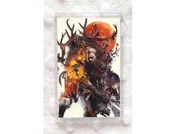 Магниты Wither, Ведьмак №11