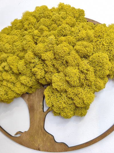 ЖИВАЯ ЭКО-КАРТИНА 1008