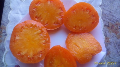 Томат Ночная свеча (Night Candle)