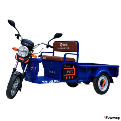 Грузовой электротрицикл TaiLG TL650