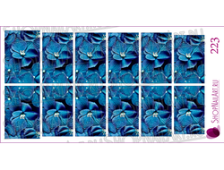 Слайдер-дизайн 223