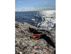 Духи НОТА: ДИКОЕ ПЛЕМЯ 5,5 мл