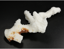 Коралл белый, коллекционный образец, Китай (120*60*40 мм, 55 г) №37701
