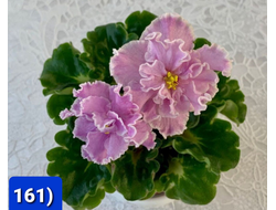 161) ВаТ- Супер Дочь 20г (дет)