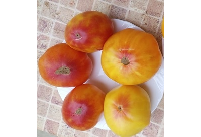 Томат Мэри Робинсон немецкий (Mary Pobinson's German)