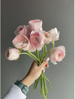 Ранункулюс в ассортименте