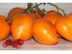 Золотое сердце