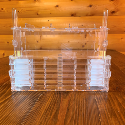 Формикарий 4ants Crystal XL pro + колония Messor Structor