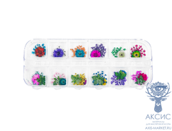 Сухоцветы микс, 30 шт, прозрачный